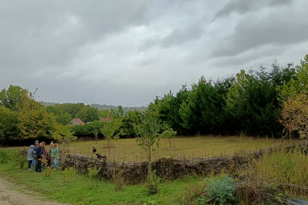 Autour de la haie de Benjes © Cécile Lalu